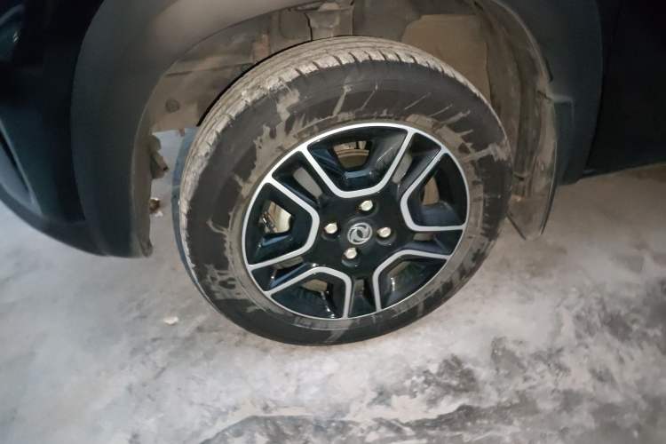 Used Dongfeng NAMMI EX1 2022 PRO Tiger Glory Advanced Model