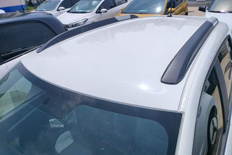 Used Venucia e30 2021 Elite Edition
