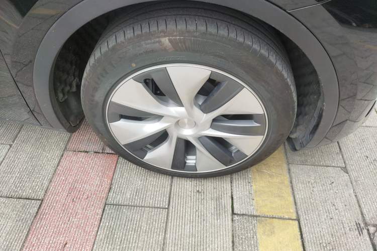 Used Tesla Model Y 2021 Standard Range Rear-Wheel Drive Version