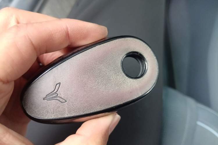 Used VOYAH PASSION 2023 Four-Wheel Drive Flagship Edition