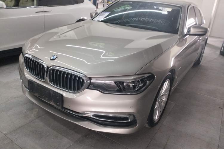 Used BMW 5 Series New Energy 2019 530Le Luxury Package