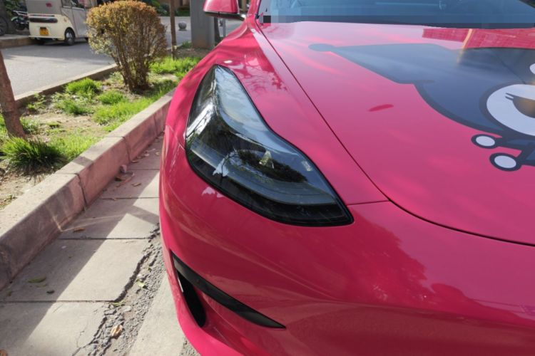 Used Tesla Model 3 2021 Standard Range Rear-Wheel Drive Upgraded Version 3D6