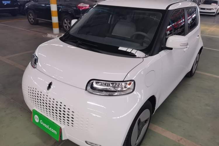 Used ORA White Cat 2020 360 km Luxury Version