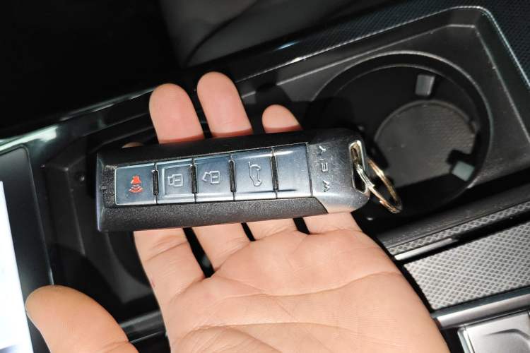 Used Wey Mocha 2021 2.0T Two-Wheel-Drive Ultra-Strong Version
