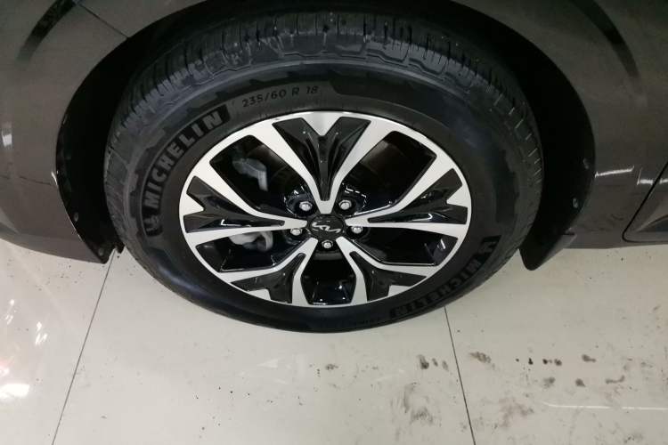 Used Kia Carnival 2021 2.0T Flagship Edition
