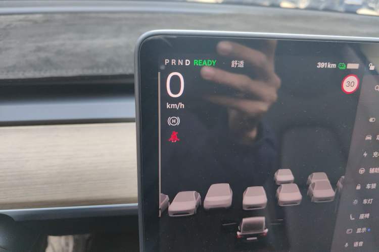 Used Tesla Model 3 2022 Rear-Wheel-Drive Version
