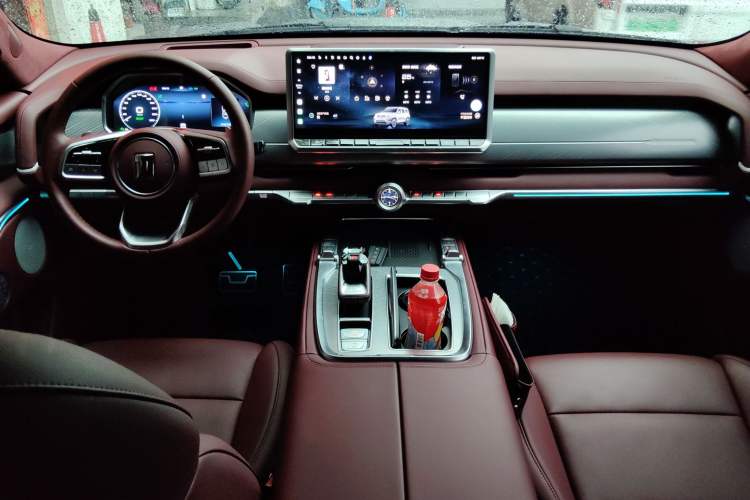 Used Tank 700 New Energy 2024 Hi4-T Extreme Edition Center Console