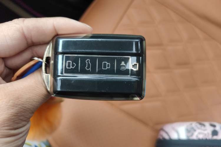 Used Tank 300 2021 City Edition 2.0T—Truly Stylish
