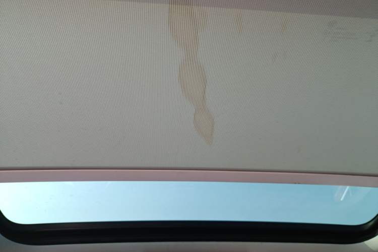 Used Volkswagen Magotan 2019 330TSI DSG Luxury Model China V Standard Headliner