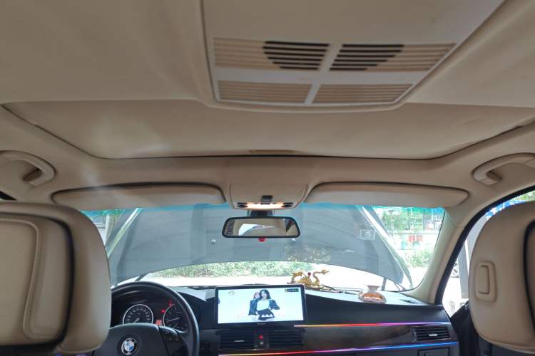 Used BMW 5 Series 2010 523Li Luxury Model Headliner