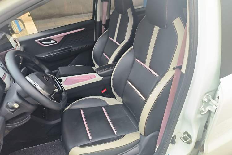 Used SOL E10X 2022 Flower Fairy Design Sunflower