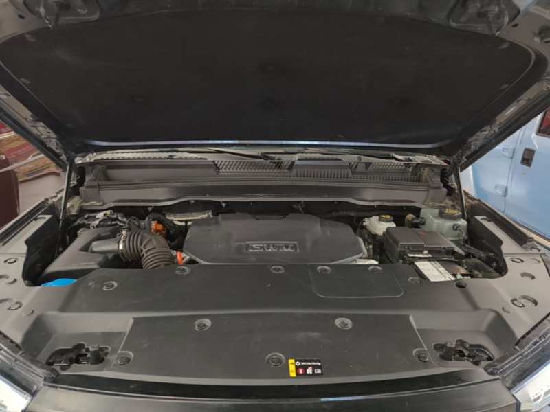 Used Tank 400 New Energy 2024 Hi4-T Off-Road Edition — 19