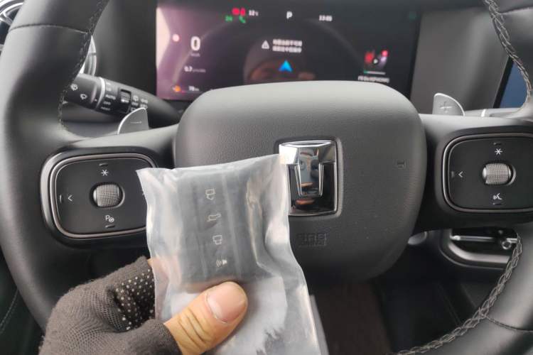 Used Tank 300 2025 2.4T Diesel Version
