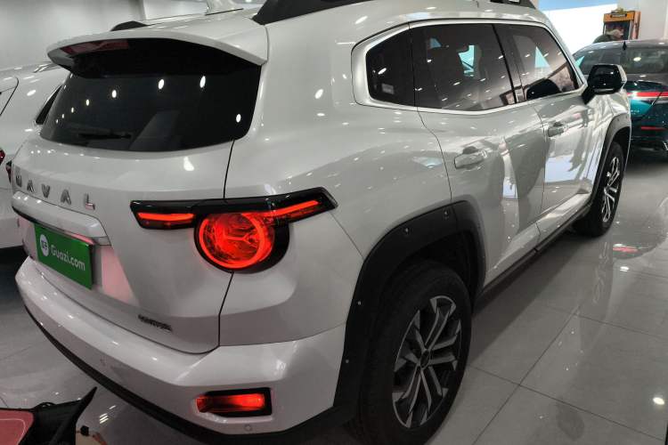 Used Haval H Dog 2023 2.0T Two-Wheel Drive Chaoye Version Plus