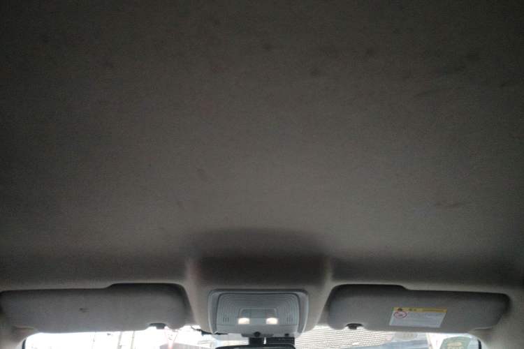 Used BYD Qin Pro New Energy 2019 EV Travel Edition Headliner