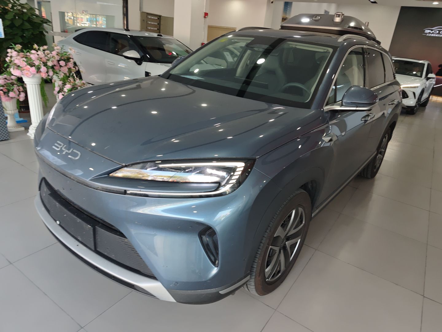 Parte inferior delantera