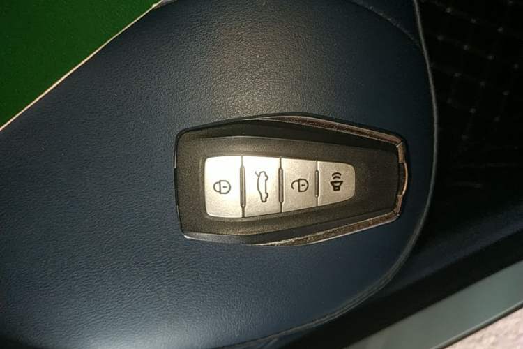 Used Geometry E Firefly 2022 401 km Linglong Tiger 4 Seats
