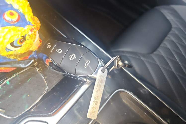 Used Hongqi HS5 2023 2.0T Four-Wheel Drive Flagship Pro Edition
