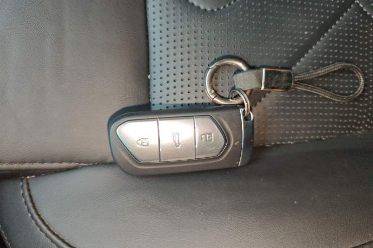 Used VOYAH FREE 2021 Four-Wheel Drive Standard Range-Extended Exclusive Luxury Package Interior 1