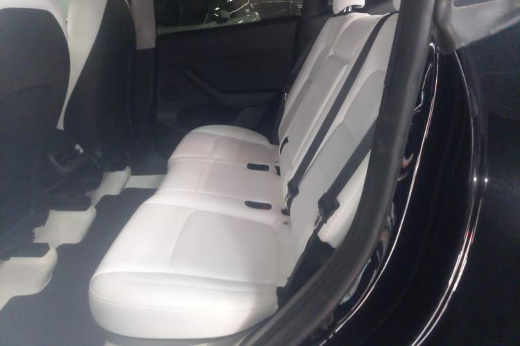 Used Tesla Model Y 2022 Revised Version Long-Range All-Wheel Drive
