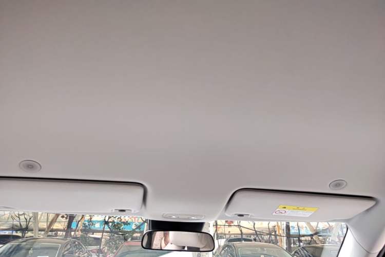 Used BYD Yuan UP 2024 401KM Leading Edition Headliner