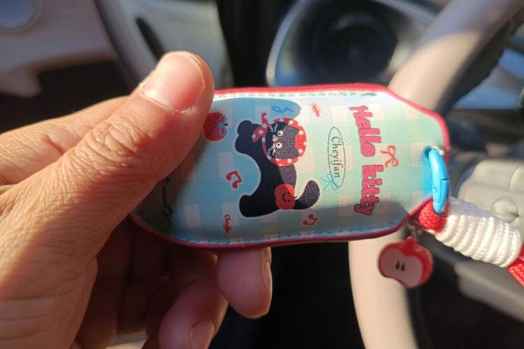 Used BYD Dolphin 2024 Honor Edition 420km Fashion Version Vehicle Key