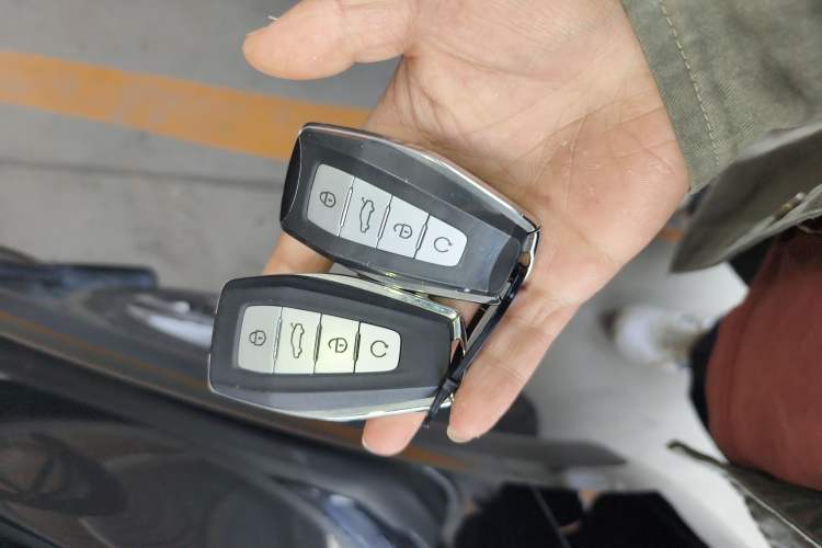 Used Geely Auto Monjaro L 2024 2.0TD High-Power Automatic Two-Wheel Drive Skyline Edition Vehicle Key