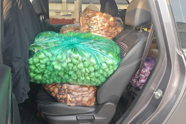 Used SAIC MAXUS G50 2019 1.5T Automatic Elite Edition China VI Standard Left Rear Seat