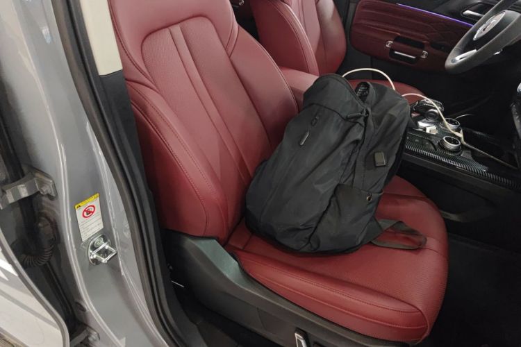 Used Tank 300 2024 2.0T Conqueror