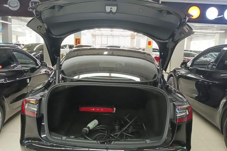 Used Tesla Model 3 2021 Revised Version Standard Range Rear-Wheel Drive Upgraded Edition 3D1

