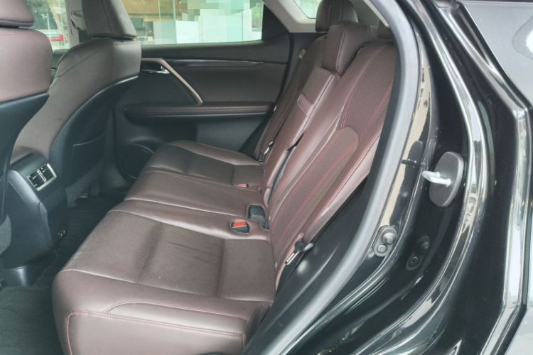 Used Lexus RX 2020 Revised Version 300 Two-Wheel Drive Comfort Edition Left Rear Seat