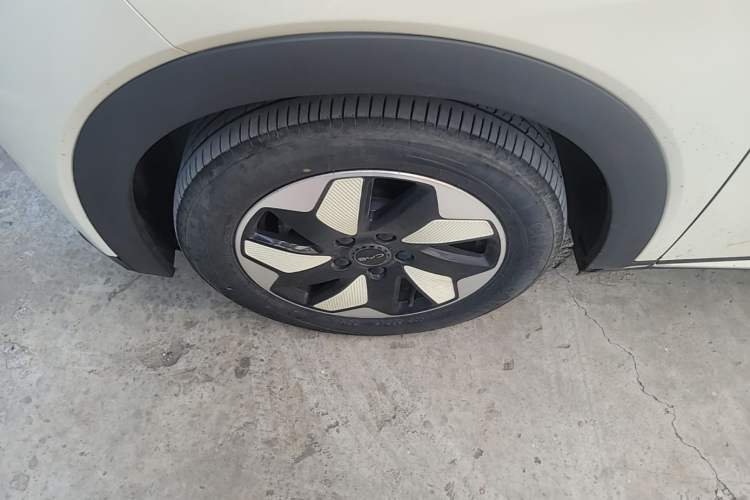 Used BYD Dolphin 2024 Honor Edition 420km Freedom Version
