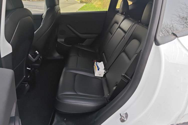 Used Tesla Model Y 2021 Standard Range Rear-Wheel Drive Version
