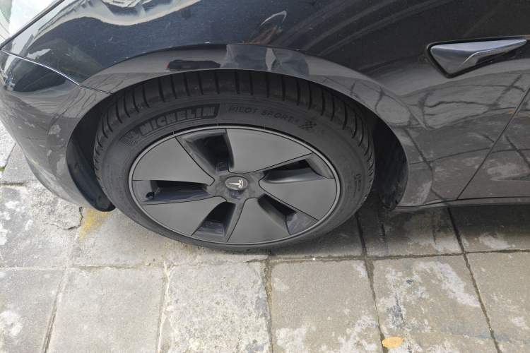 Used Tesla Model 3 2021 Revised Version Standard Range Rear-Wheel Drive Upgraded Edition 3D1