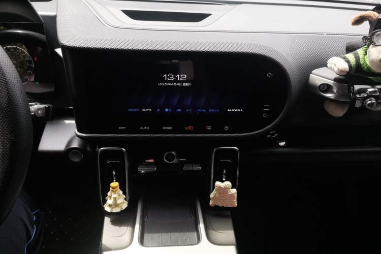 Used Haval DARGO 2024 2.0T DCT Chinese Rural Dog Edition