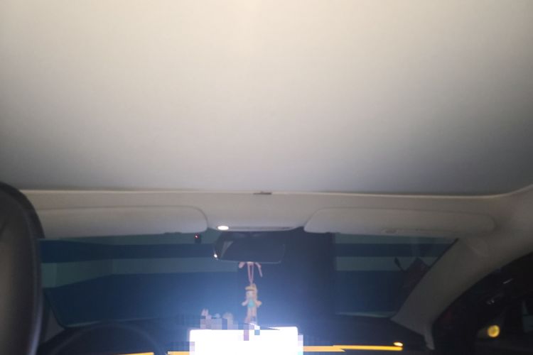 Used Tesla Model 3 2019 Standard Range Rear-Drive Upgraded Version Headliner