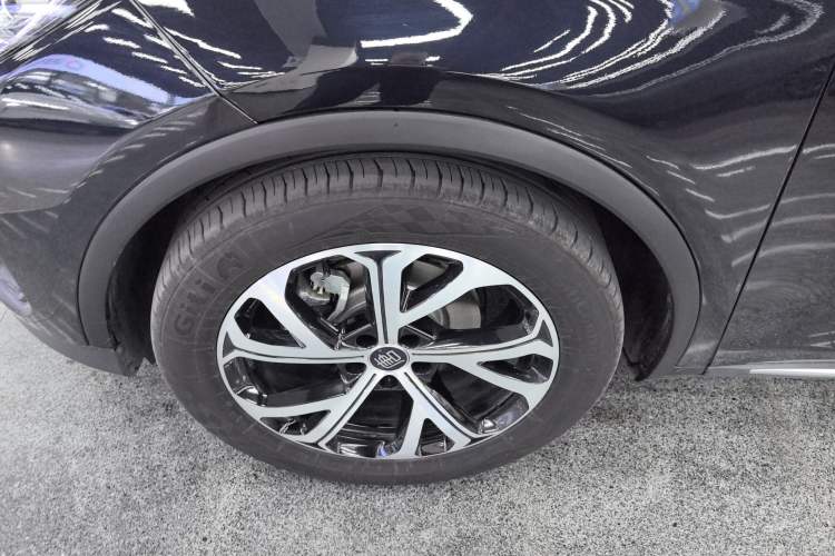 Used BYD Tang New Energy 2025 DM-i 115KM Prestige Model Exterior 4