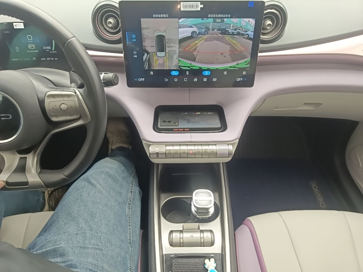 BYD Dolphin 2021 405 km Fashion Edition — снимка 16