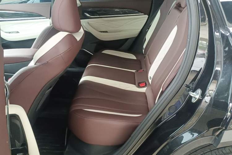 Used Geely Auto Monjaro L 2021 2.0TD DCT EVO Two-Wheel Drive Prestige Version Left Rear Seat