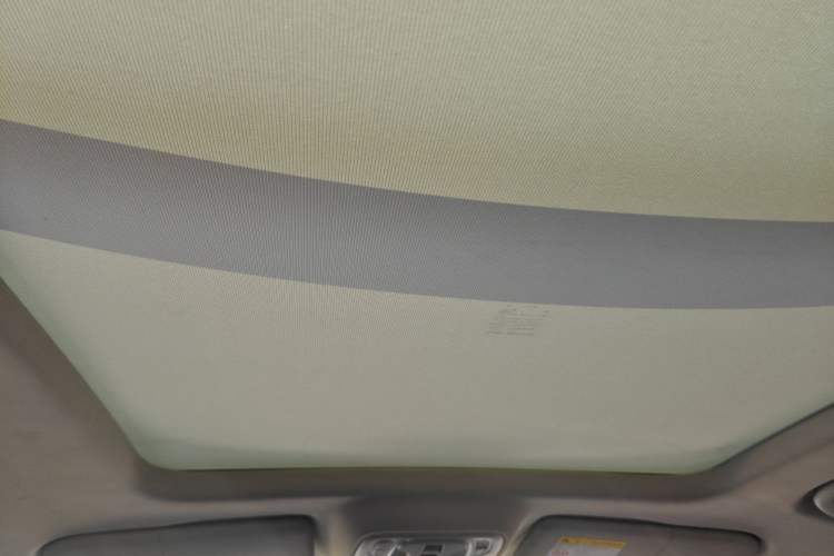 Used Roewe RX5 MAX 2021 Supreme Series 300TGI Automatic Smart Cabin Edition Headliner