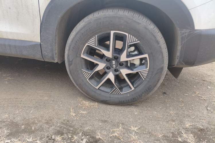 Used BAIC Off-Road BJ30 2024 1.5T Magic Electric Drive Standard Edition