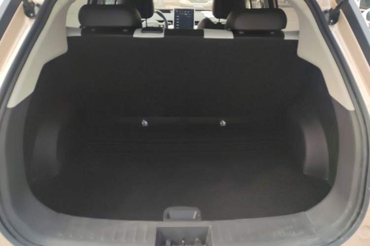 Used NETA AYA 2023 318 Lite Trunk