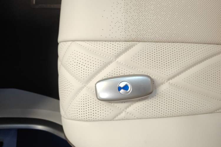 Used Denza D9 2024 DM-i 970 Luxury Model
