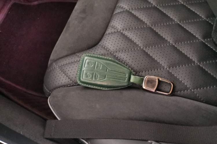 Used Hongqi HS5 2019 2.0T Smart Connect Flagship Edition