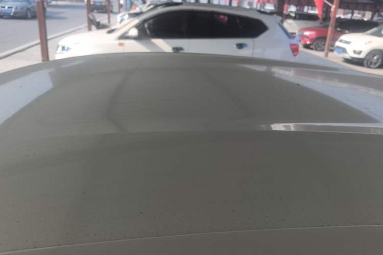 Used BYD Dolphin 2025 420km Free Edition
