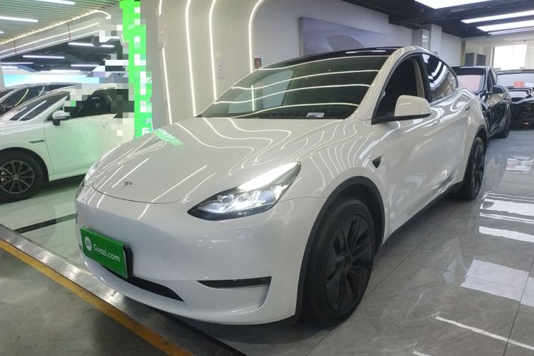 Used Tesla Model Y 2024 Long-Range All-Wheel-Drive Version