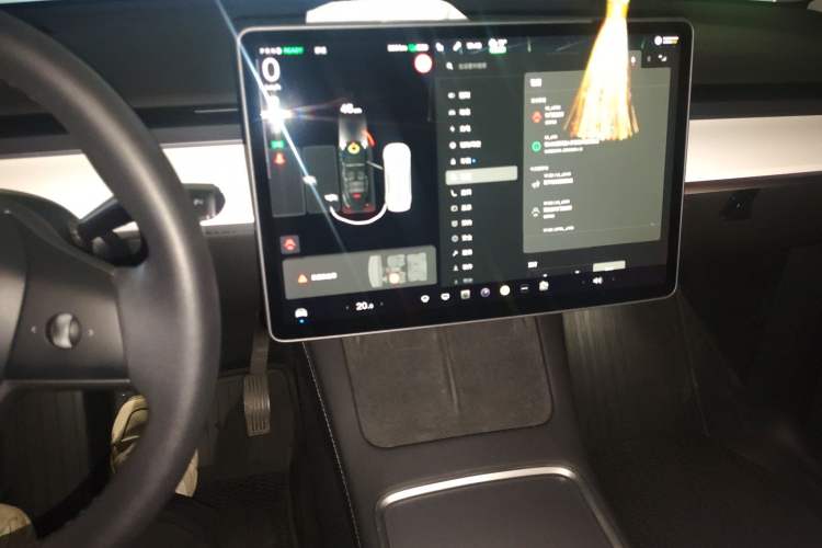 Used Tesla Model Y 2021 Standard Range Rear-Wheel Drive Version
