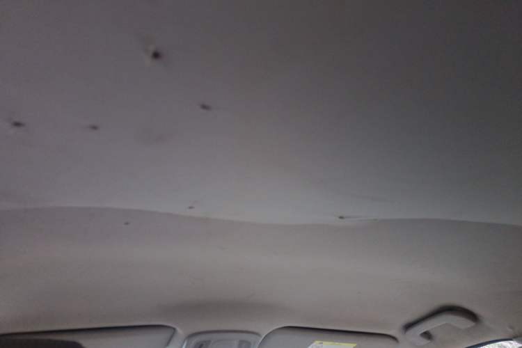 Used Citroen C4L 2013 1.6L Automatic Jingxiang Edition Headliner