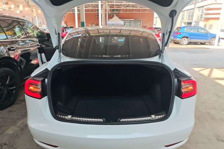 Used Tesla Model 3 (Import) 2019 Standard Range Rear-Wheel Drive Upgraded Version (52 kWh)