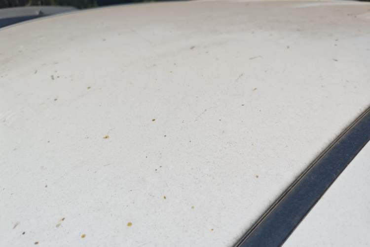 Used HYOSOW S3 2016 1.5L Manual Entrepreneurship Model
